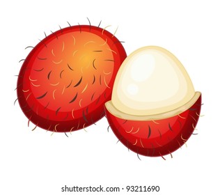 Ilustración de frutas sobre fondo blanco