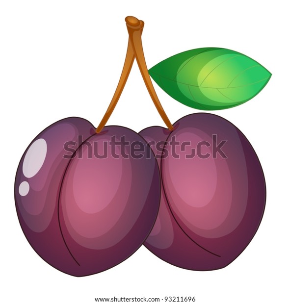 Fruit Illustration On White Background Stock Vector (Royalty Free) 93211696