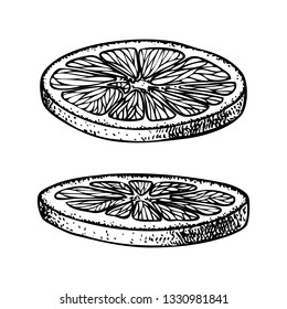 Fruit illustration with Orange slice in engraving stile. Sweet and fresh fruit element for menu, greeting cards, wrapping paper, cosmetics packaging, labels, tags, posters etc