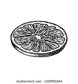 Fruit illustration with Orange slice in engraving stile. Sweet and fresh fruit element for menu, greeting cards, wrapping paper, cosmetics packaging, labels, tags, posters etc