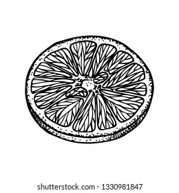 Fruit illustration with Orange slice in engraving stile. Sweet and fresh fruit element for menu, greeting cards, wrapping paper, cosmetics packaging, labels, tags, posters etc
