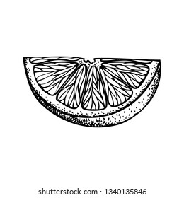 Fruit illustration with Orange slice in engraving stile. Sweet and fresh fruit element for menu, greeting cards, wrapping paper, cosmetics packaging, labels, tags, posters etc