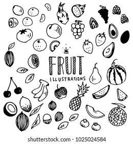 Fruit Illustration Pack