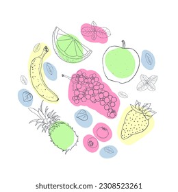 Fruit illustration sketch style bright spots circle composition vector