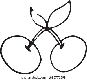 fruit illustration in vector. Simple, realism 