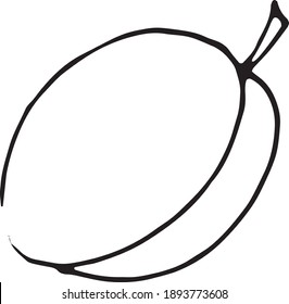 fruit illustration in vector. Simple, realism 