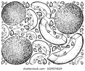 Fruit, Illustration Wallpaper Background of Hand Drawn Sketch of Fresh and Sweet Melons.