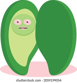 Fruit illustrations that can be used for children's education, animation and digital games.