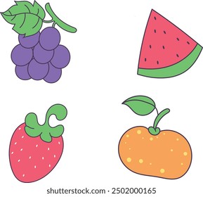 fruit illustrations, watermelon, orange, grapes, strawberry