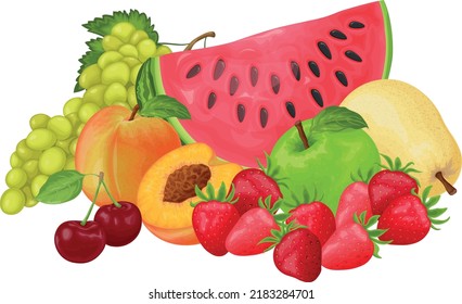 Fruit. The image of fruits such as watermelon, grapes,peach,strawberry and cherry apples and pears. Fruit collection. Still life of fruit. Vector illustration. Fruit set