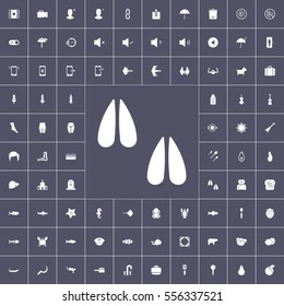 fruit, interface, animal and other icons pack