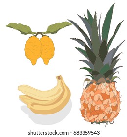 Fruit Isolated on a white. Decorative Fruit Design Pattern with Pineapple, lemon and Bananas.