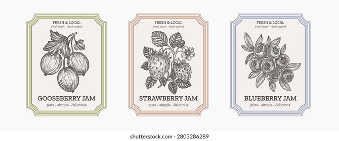 Fruit jam labels collection. Hand drawn berry sketch illustrations with vintage frames for homemade preserve jar packaging design. Retro berry jam packaging labels set. Gooseberry, strawberry, blueberry engraving drawings with decorative borders vector template.