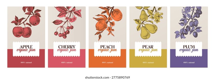 Fruit jam vector labels set with hand drawn apple, cherry, peach, pear and plum branches. Confiture emblems collection.
