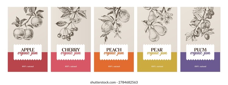 Fruit jam vector labels set with hand drawn apple, cherry, peach, pear and plum branches. Confiture emblems collection.