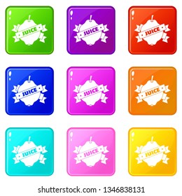 Fruit juice icons set 9 color collection isolated on white for any design