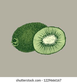 Fruit kiwi hand drawn vector llustration realistic sketch