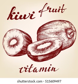 fruit kiwi set hand drawn vector llustration realistic sketch