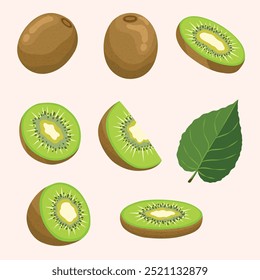 Fruta, kiwi, frutas tropicales, ilustración dibujado a mano