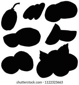 Fruit kiwi, vector, silhouette