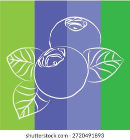 diseño de etiqueta de fruta, una colección estilizada de Elementos de Vector planos en colores verde y azul, dibujo de contorno para arándanos, diseño, arte de línea de arándanos, conjunto de pintura a mano, formato EPS, rama de arándanos de Vector aislada. Vector ilustración de dibujos animados. Icono plano de una rama vegetal. ilustración plana de arándanos.