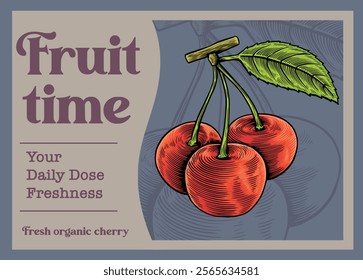 Fruit label design. Vintage cherry label. Vintage fruit label design. Fruit packaging design