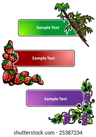 Fruit label. Vector illustration
