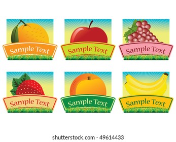 Fruit labels vector