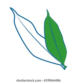 Fruit leaves isolated
