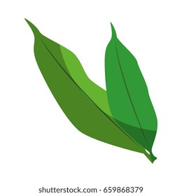 Fruit leaves isolated