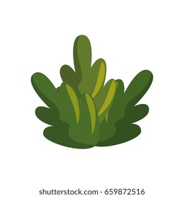 Fruit leaves isolated