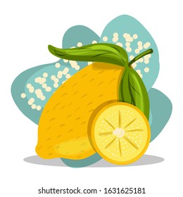 Fruit. Lemon. Bright design. Hand drawing. For your design.