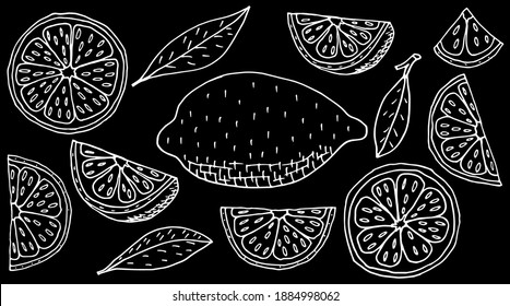 Handzeichnung der FruchtZitrone. Set aus ganzen und Scheiben, und Viertel Zitrone. Weiße Kontur der Früchte auf schwarzem Hintergrund. Vektorgrafik.