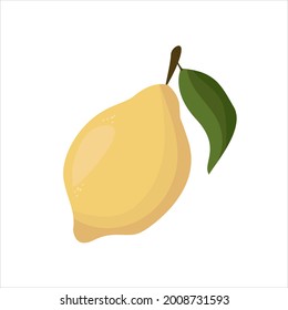 fruit lemon isolated on white background