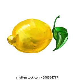 fruit lemon Vector illustration  hand drawn  painted watercolor 