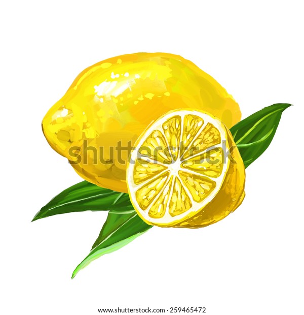 フルーツレモンベクターイラスト手描きの水彩 のベクター画像素材 ロイヤリティフリー
