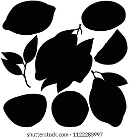 Fruit lemon, vector, silhouette