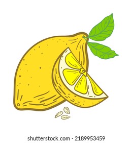 Fruit Lemon whole, half and slice with leaves. Hand drawn illustration in doodle style. Sketch black lines on a white background.