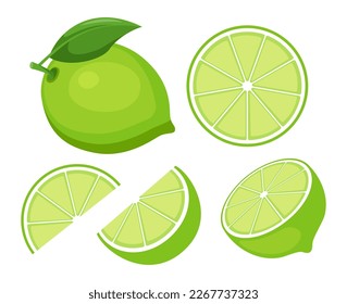 Fruit lime isolated on white background