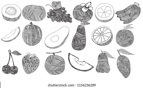 Fruit Line drawing. orange, kiwi, mango, avocado, watermelon and banana.