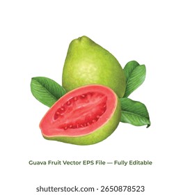 Linha de fruta ícone conjunto vetor coleção de alimentos frescos simples