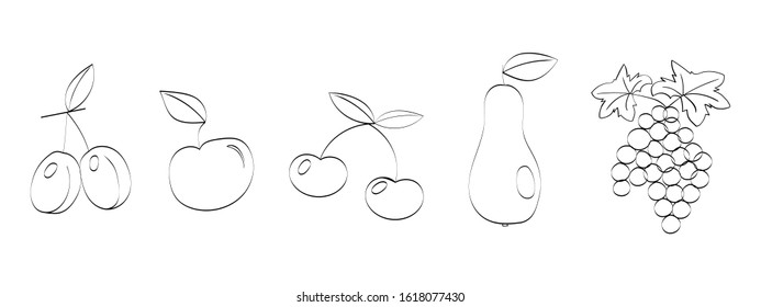 Fruit. Linear icons drawn by hand on a white background. Contour images of pears, apples, grapes, plums, cherries. Set of icons