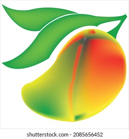 fruit logo design of company.fruit vector art illustration.fresh fruit icon graphic.template fruit