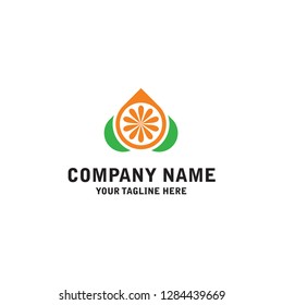 Fruit Logo Design and Template And Logo Inspiration