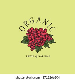 Estilo dibujado a mano con logotipo de frutas