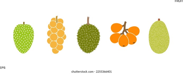 Fruit logo. Isolated fruit on white background