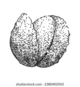 fruit lychees hand drawn. asian food, lichee pink, fresh nature fruit lychees vector sketch. isolated black illustration