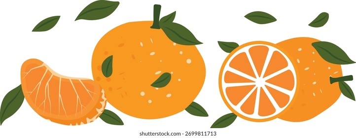 Fruit mandarin isolated on white background
