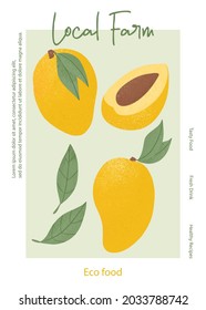 Fruit mango juice packaging design. Ripe mango with leaves local farm banner template. Sweet mango fruit vector hand drawn card design. Juice or jam poster concept for farm market.