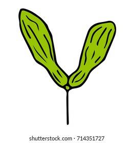 The fruit of maple vector illustration. Doodle style. Design icon, print, logo, poster, symbol, decor, textile, paper, card. 
